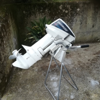 Evinrude 15cv