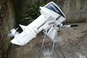 Evinrude 15cv