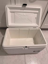 Igloo Marine lt 51