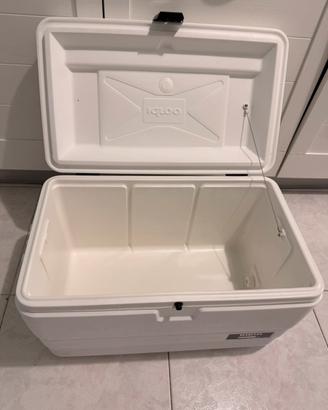 Igloo Marine lt 51