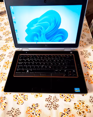 DELL Latitude E6420