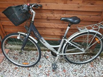 bici GIANT da donna