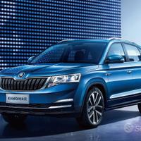 Ricambi usati Skoda Kamiq 2018 > 2023