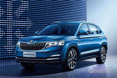 Ricambi usati Skoda Kamiq 2018 > 2023