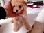 Immagine 22