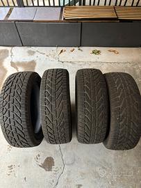 Gomme invernali