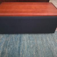 Cassa Canale Centrale AMT