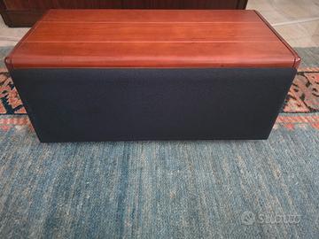 Cassa Canale Centrale AMT