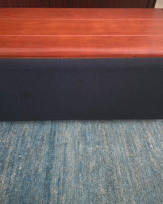 Cassa Canale Centrale AMT