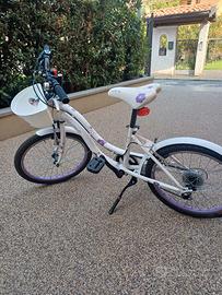 bicicletta montana