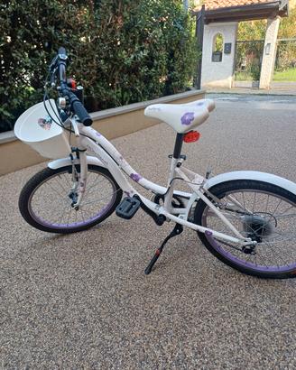 bicicletta montana