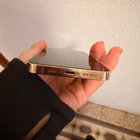 Iphon 13pro con pellicola privacy e cover