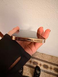 Iphon 13pro con pellicola privacy e cover