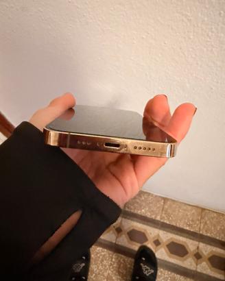 Iphon 13pro con pellicola privacy e cover