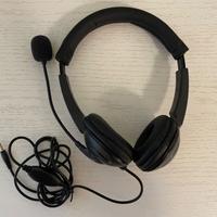 Cuffia con microfono minijack Sandberg