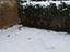 Immagine 18