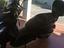 Immagine 3