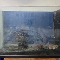 Acquario artigianale 160lt