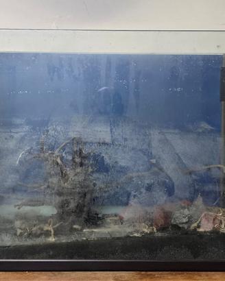 Acquario artigianale 160lt