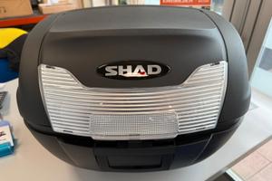 BAULETTO SHAD SH40