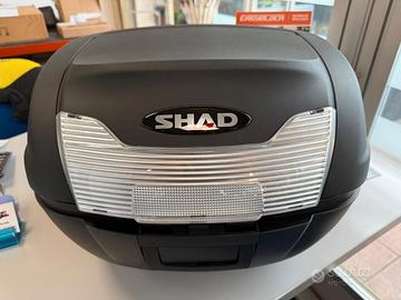 BAULETTO SHAD SH40
