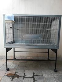 Gabbione per pappagallini o canarini