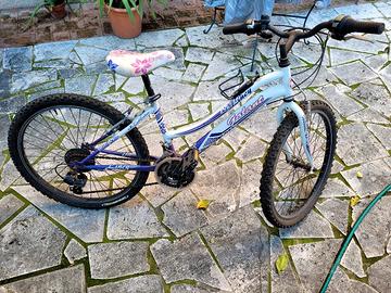 bicicletta bambina 24 pollici