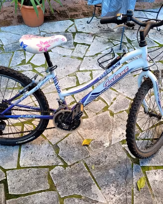 bicicletta bambina 24 pollici