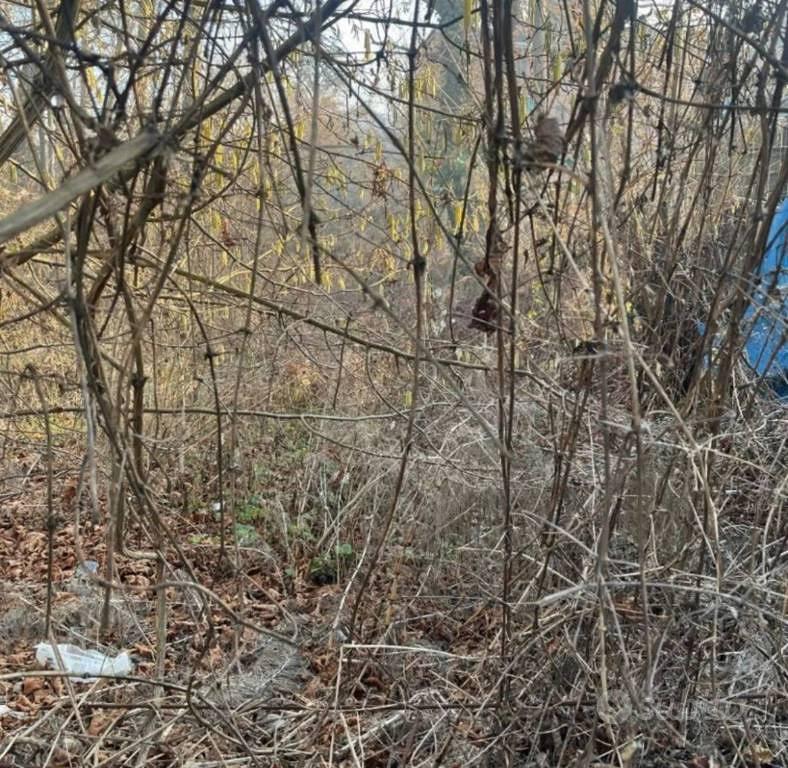 Immobile in asta di 910 m² a Cerrina Monferrato - Vista 3