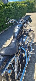 Harley davidson