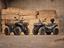 Immagine 20