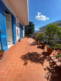 3 LOCALI A SAN PAOLO BEL SITO