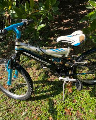 mountain bike monster junior