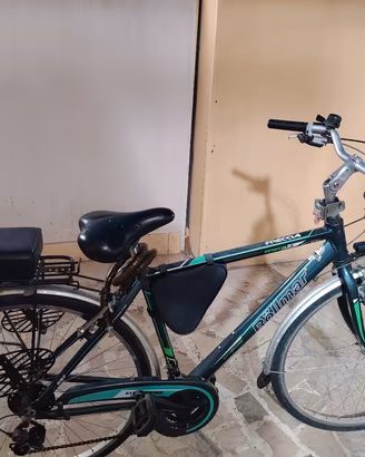 Bicletta da Uomo