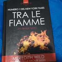 Tra le fiamme. The Bridge series