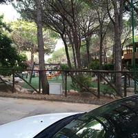 Pinus village S.Margherita pula