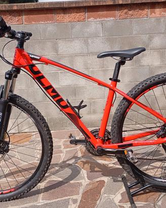 olmo turchino mtb 29