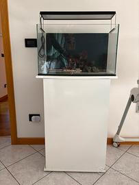 Acquario Ada 60p