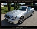 mercedes-benz-slk-200-cat-kompressor-evo