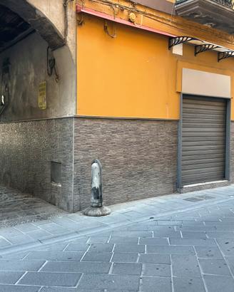 Locale commerciale posozione angolare 2 ingressi