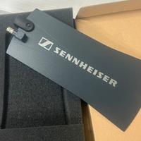 Antenna microfono a bandiera Sennheiser