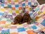 Immagine 8