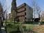 Immagine 9
