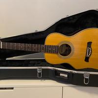 Richwood P65 VA Master Series Parlor + custodia