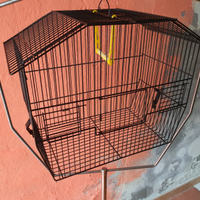 Gabbia uccellini esotici mandarini piedistallo