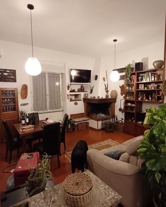 Appartamento con terrazzo