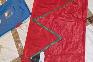 Vele da regata 29 er