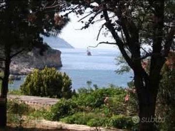 Scopello 100mt dal mare ampio giardino 8 posti l