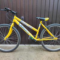 Bicicletta raggio 26