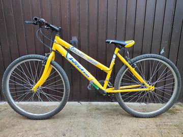 Bicicletta raggio 26
